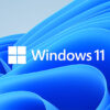 Windows 11 Pro 64Bit Eng Intl 1pk DSP OEI DVD